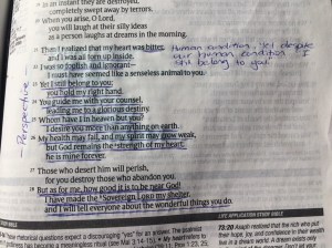 39021248_1221881894619082_5951540077602537472_n