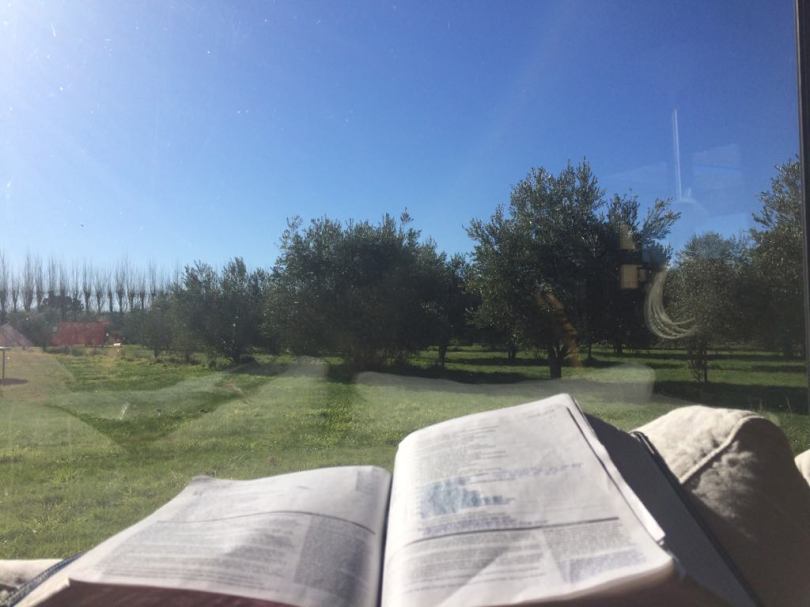 39070645_2142201019396273_4486485703114358784_n